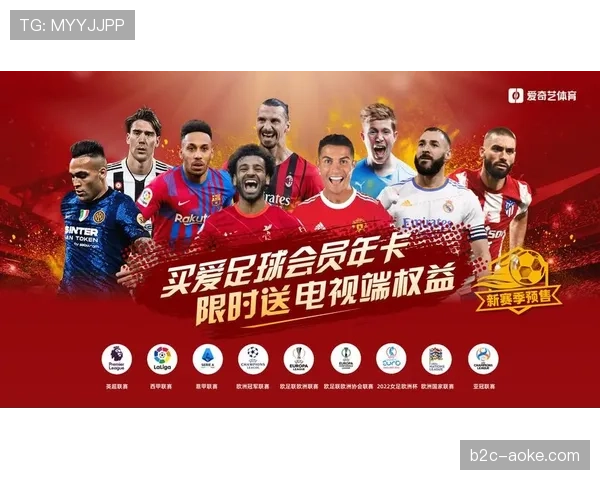 IMG多年来负责意甲及其他多项联赛体育赛事的海外转播权分销